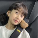 안전카 네이버블로그