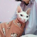 목안 | 포천마사지샵 또간집 연순마사지 후기 (목안좋은사람후기)