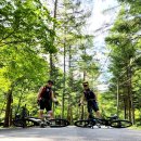 낙동정맥트레일(3코스-심미골단풍길) | 울진 통고산 임도 MTB 라이딩 &amp; 백패킹
