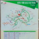 보문산 등산로 전경-①(한밭도서관능선 : 서대전역~한밭도서관~보문산 시루봉 구간, 보문산 등산지도, 등산코스 포함) 이미지