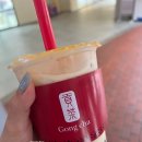 브루클린페트컴퍼니 주식회사 | 일상 포토덤프 day.4 _ 여름 감기 개도 안 걸린다