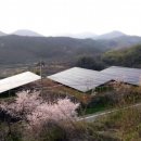 죽전태양광발전소 이미지