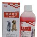 천호약국 이미지