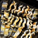 진로스장어시대 이미지