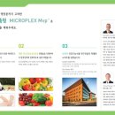 디앤피플러스 이미지