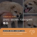 불러불러 찐 이미지