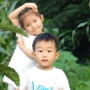 혜연농장 이미지