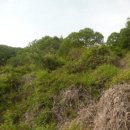 금대리828 이미지