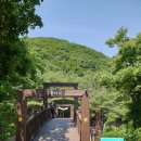 서산 용현자연휴양림 &#34;산림청 포레스토랑 후기&#34; 임산물 가득 숲속요리교실