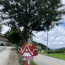 거창 에이글램핑 | 거창 에이글램핑 후기 🏕️