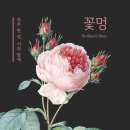 멍하루 네이버블로그