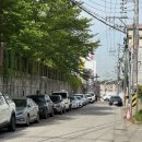전주 지안뷰티 평화동 속눈썹펌 추천 재방문 후기