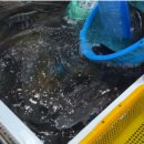 남해-64 | 남해 항도야영장 당일치기 캠핑 후기 | 방파제 낚시 가능? 삼천포 용궁수산시장 코스 정리🐟