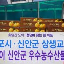 유달연합의원 KBS