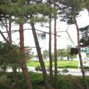 강남콩바디헬스클럽 이미지
