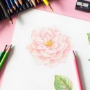 (온라인)컴퓨터 중급 이미지