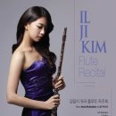 플루트 이미지