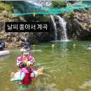 홍’s김밥 이미지