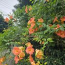 산양리경로당 이미지