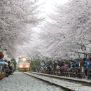 진해공설운동장 야구장 이미지