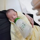 그린맘 | 그린맘 신생아 젖병, 조리원부터 3개월 사용 후기