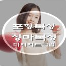 포항청마복싱다이어트클럽 이미지