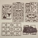 트리케라톱스-1 이미지