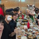 하대막썰어횟집