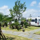 제주플래티늄카라반 이미지