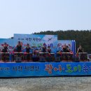 서천 자연산 광어 도미 축제 2020 이미지