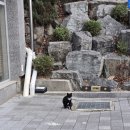 애드넷 | 패딩이랑 반팔입은 애들이 서로 유난이래(202603)