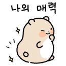 골든햄스터분양 햄츠비 이미지