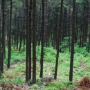 신안화장품 이미지