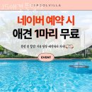 경주풀빌라467 | 경주펜션 JS애견풀빌라 방문 후기 가는길 주차