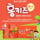 참다한홍삼파주운정