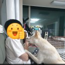 김순돌 이미지