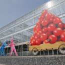 꿈꾸는농장 이미지