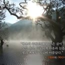 [한국의 자연명승] 청송 주왕산 주왕계곡 일원 이미지