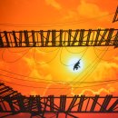 뜰과풍경 이미지