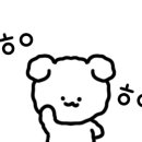 아웃독(OUT DOG) 이미지