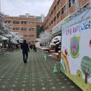 효자초등학교병설유치원 이미지