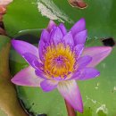 티나하우스 이미지