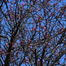 유엔기념공원주차장 이미지