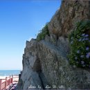 바람불어 좋은날 이미지