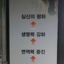 올마디한의원 이미지