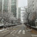 큰곰자리부동산중개그룹 이미지