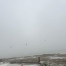대하횟집 | [경기/화성] 제부도 대하횟집 / 솔직후기 &amp; 제부도데이트코스 추천 (카페) &amp; 제부도 맛집 &amp; 가성비조개구이