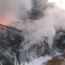 양계장닭한마리 이미지