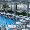 캠프통포레스트 | 가평빠지 또간집 캠프통포레스트 방문 후기