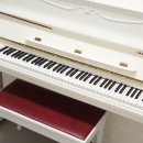 포레스트음악학원 이미지